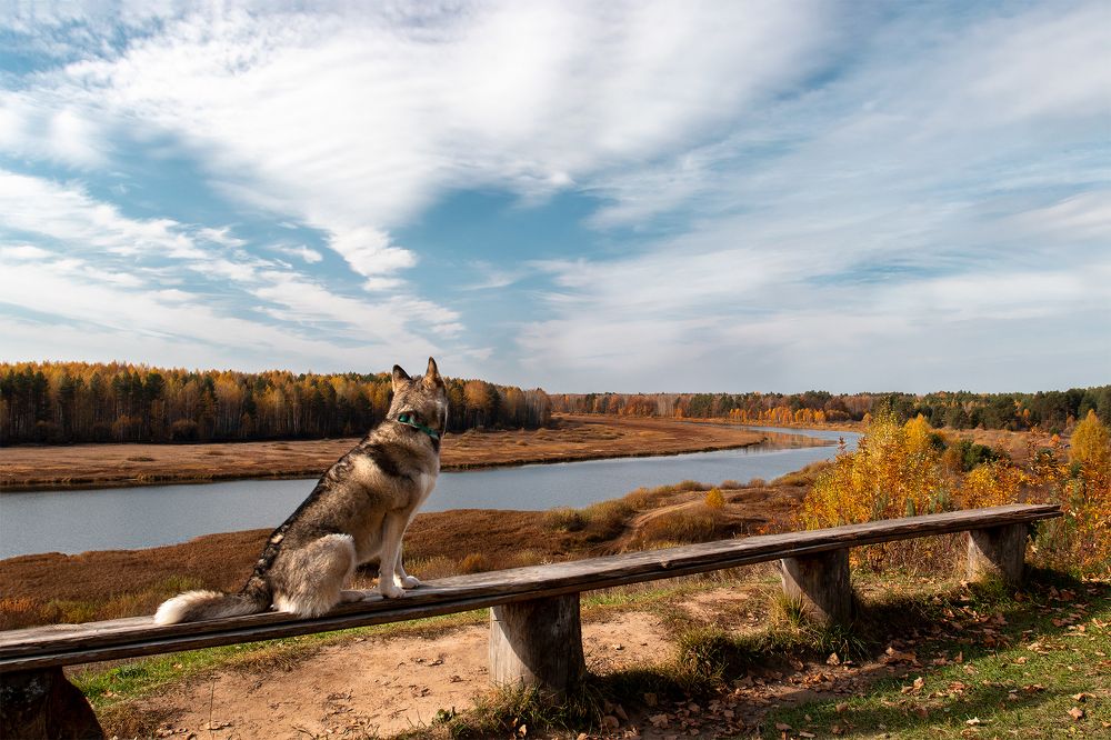 Photograph by Светлана Гущина