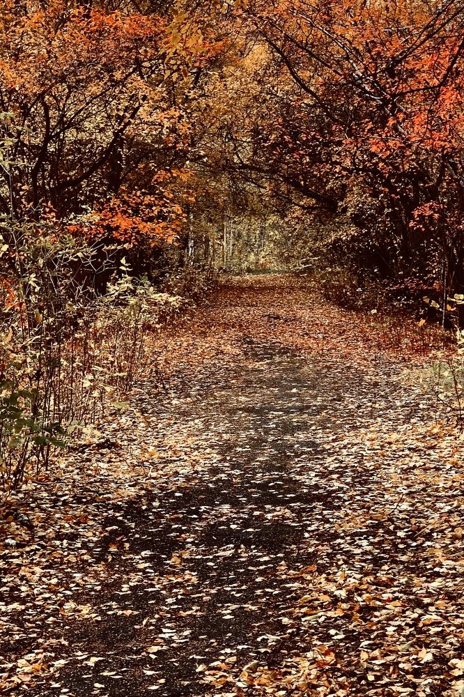 Photograph by Ирина Тимонина