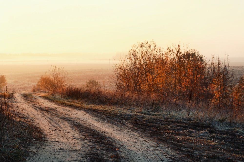Золотой час