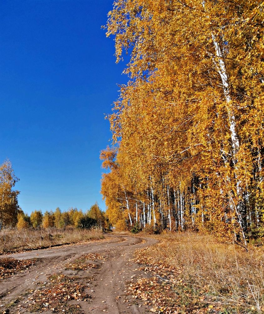 Photograph by Игорь Носков (Домненко)