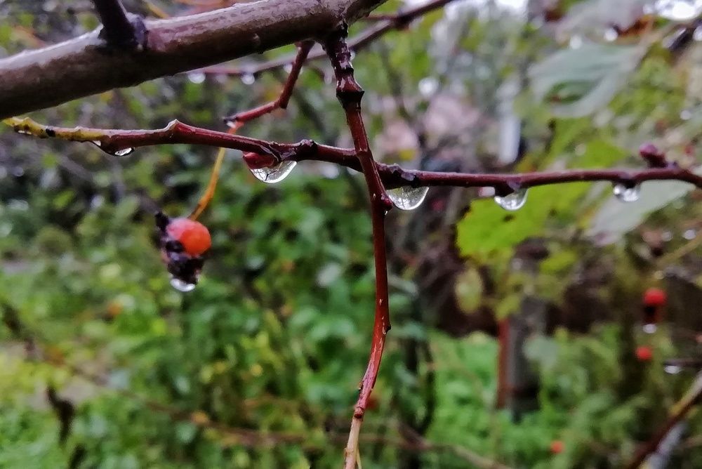 Photograph by Екатерина Чижевская