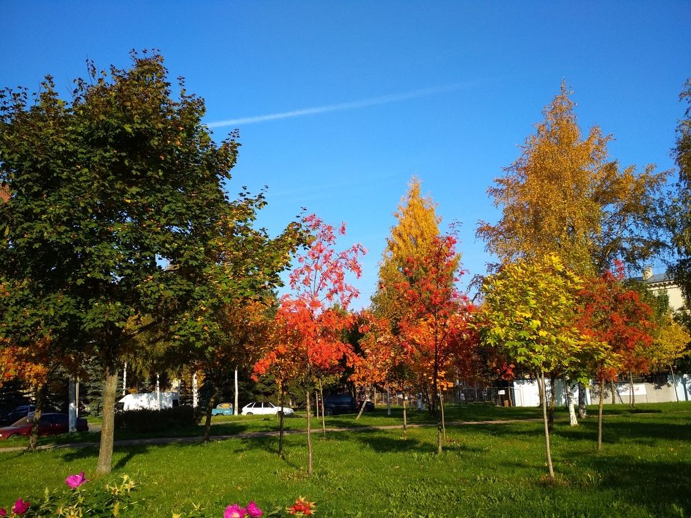 Осень в сквере