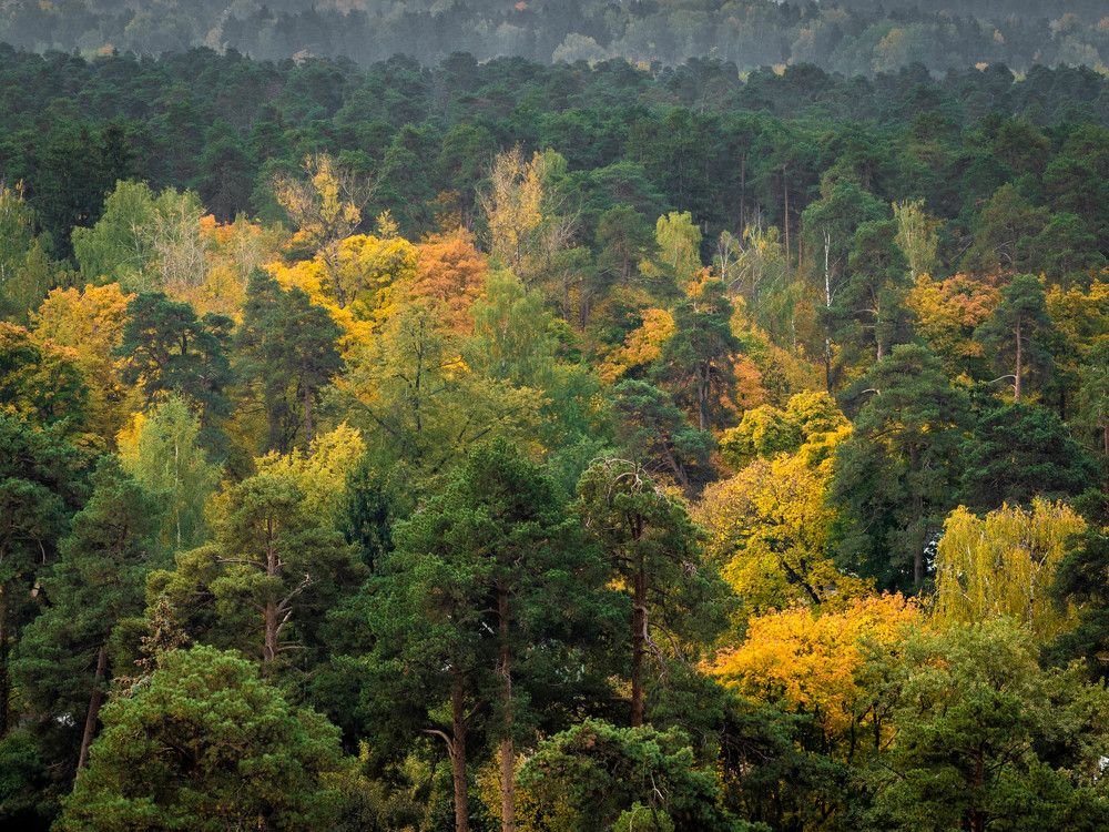 Photograph by Константин Горшенин