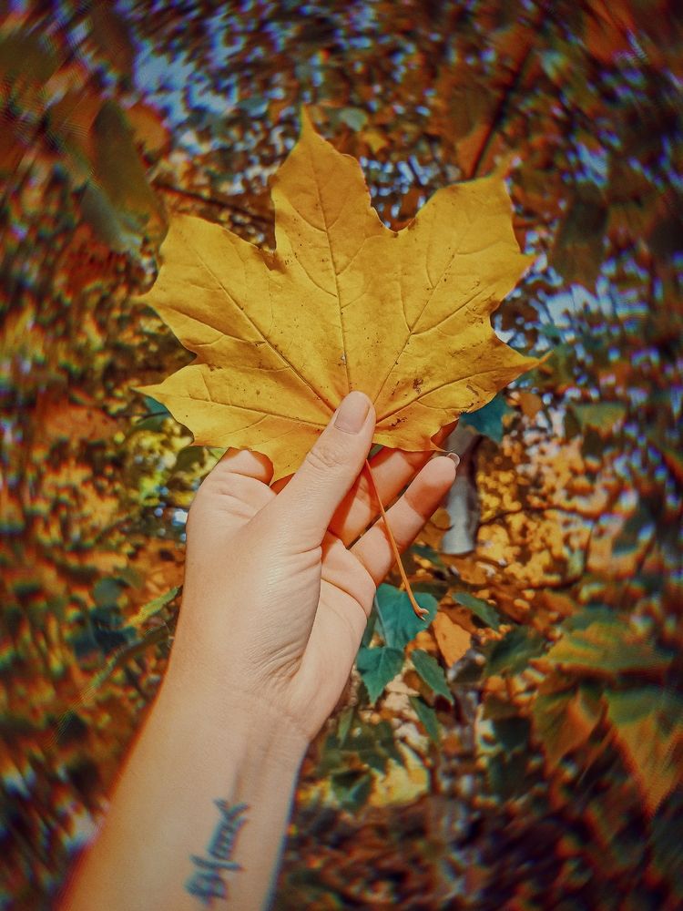 Фотография автора Juli Vvelentini