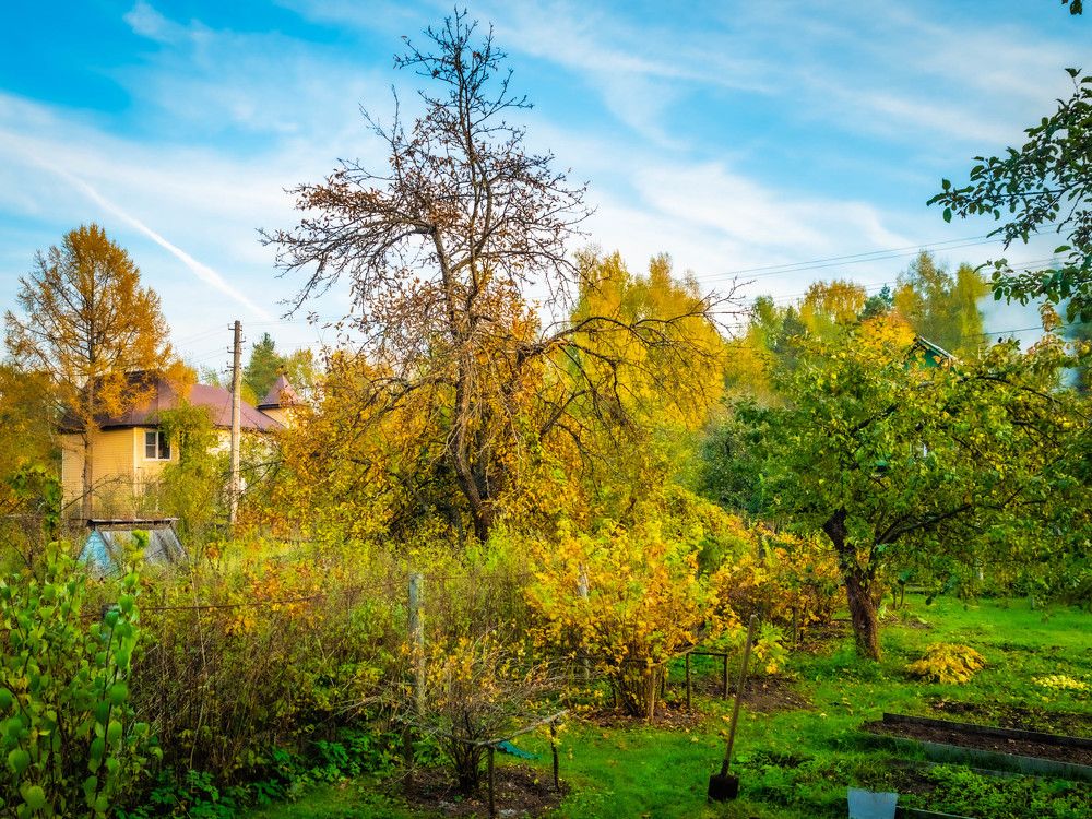 Photograph by Константин Горшенин