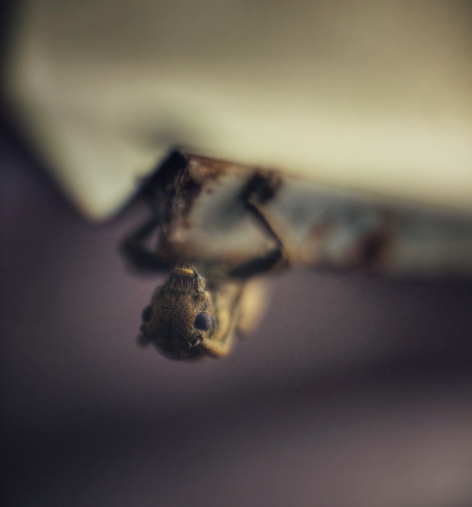 Photograph by Shakeer Mohammed