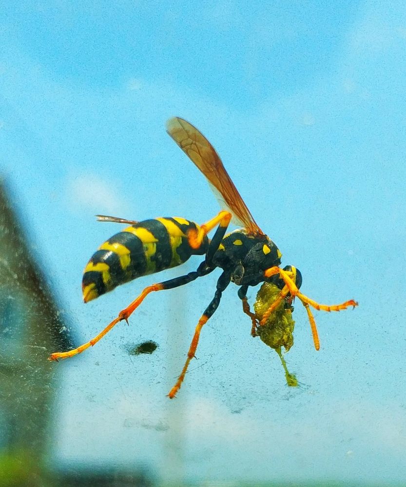 Photograph by Ольга Худорожко