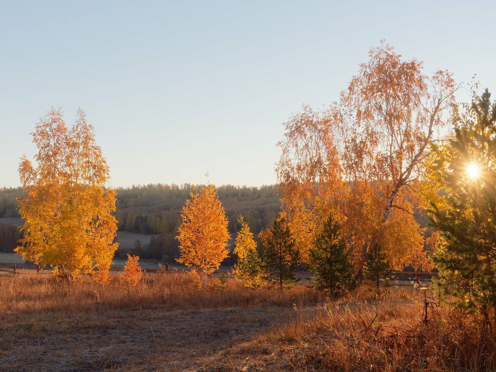 Photograph by Алексей Львов