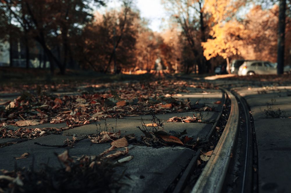 Photograph by Андрей Швецов