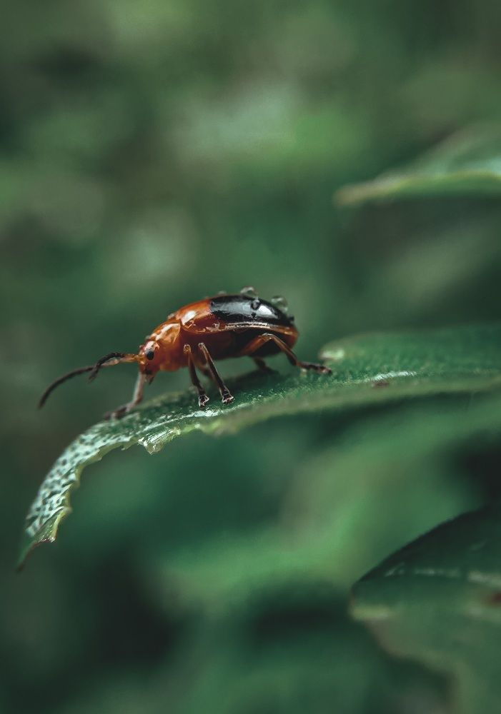 Фотография автора Pavitra Shettigar