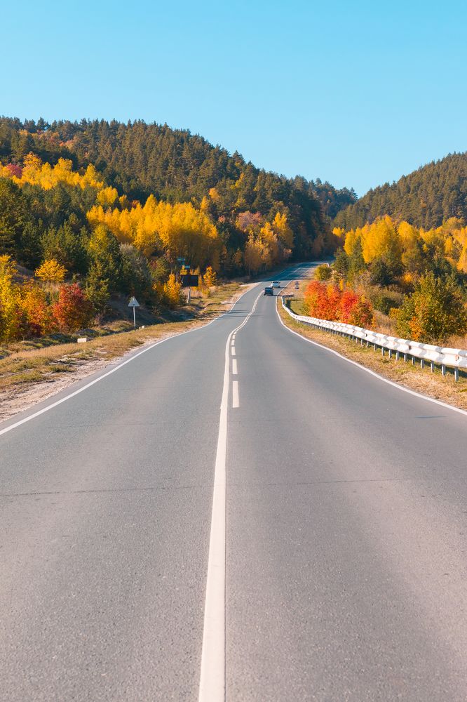 Photograph by Елена Неведицына