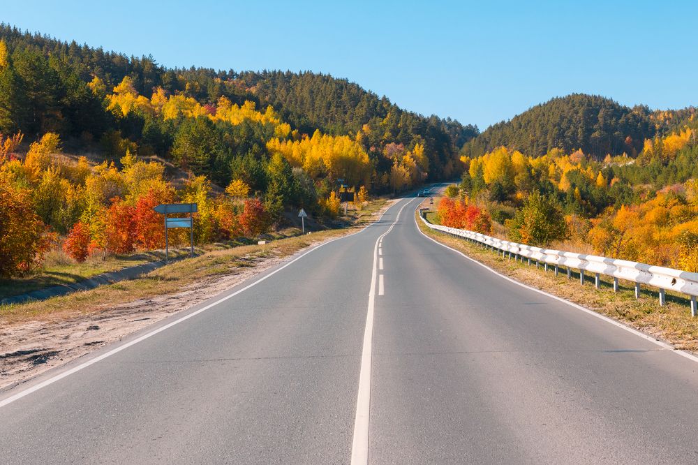 Photograph by Елена Неведицына