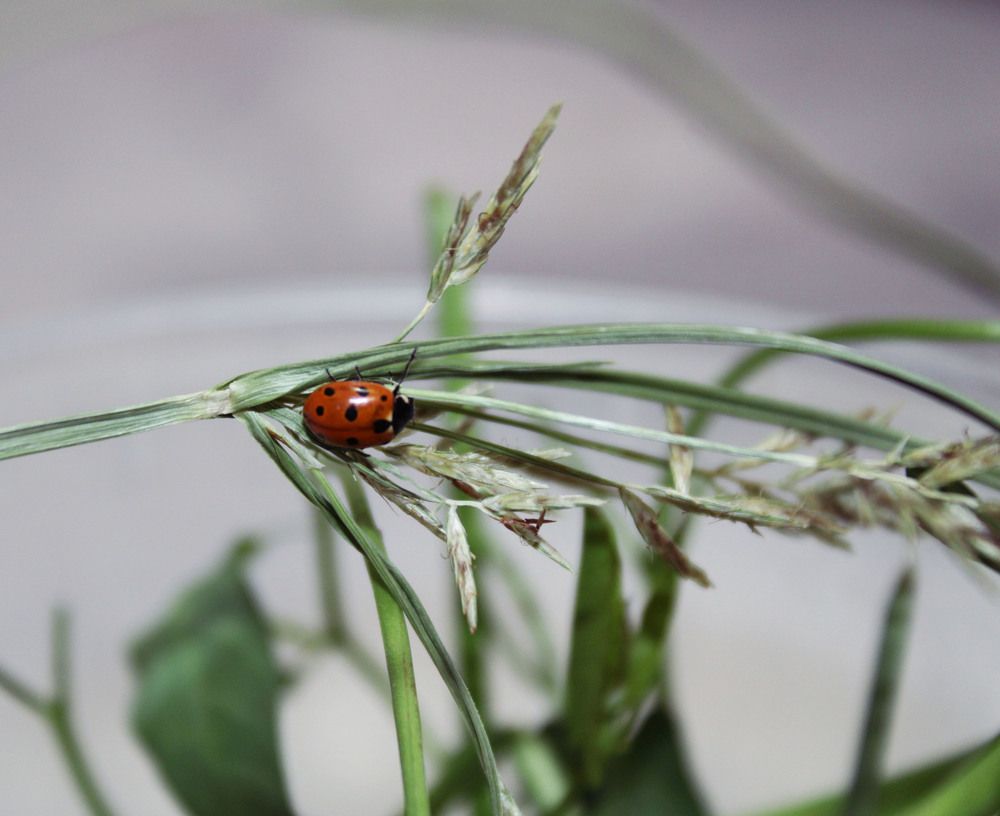 Photograph by Narjes Al_Bayat (Narjes Alzahraa)