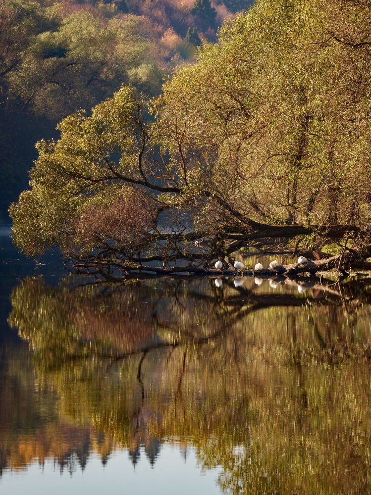 Photograph by Anna Levina