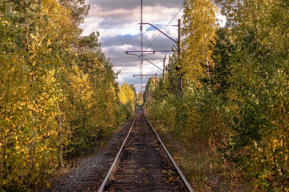 Photograph by Александр Нестеров