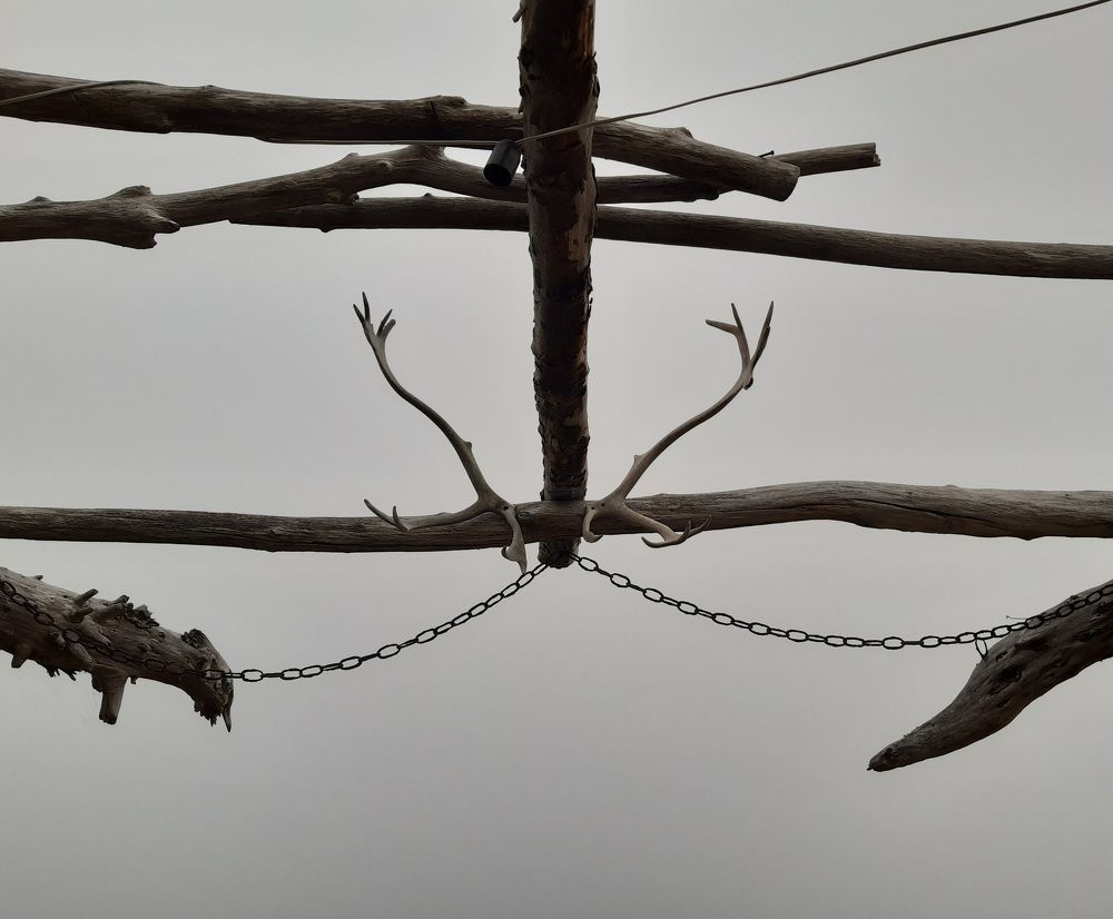 Photograph by Людмила Лаврентьева