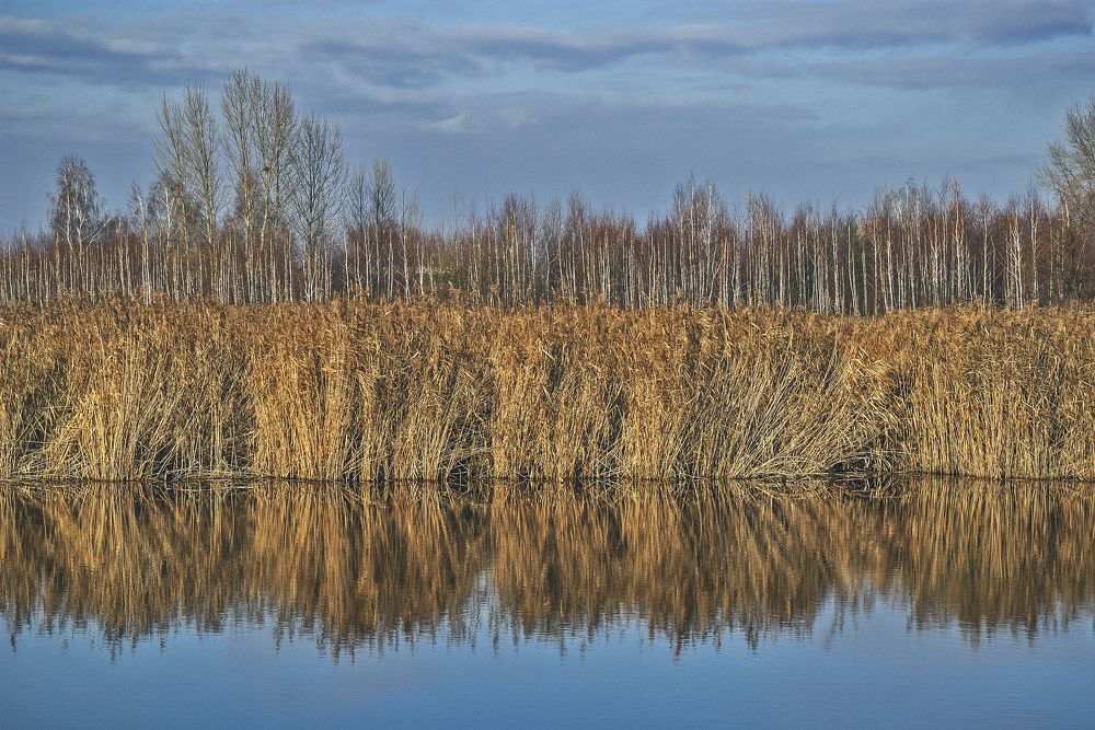 Зеркало осени.