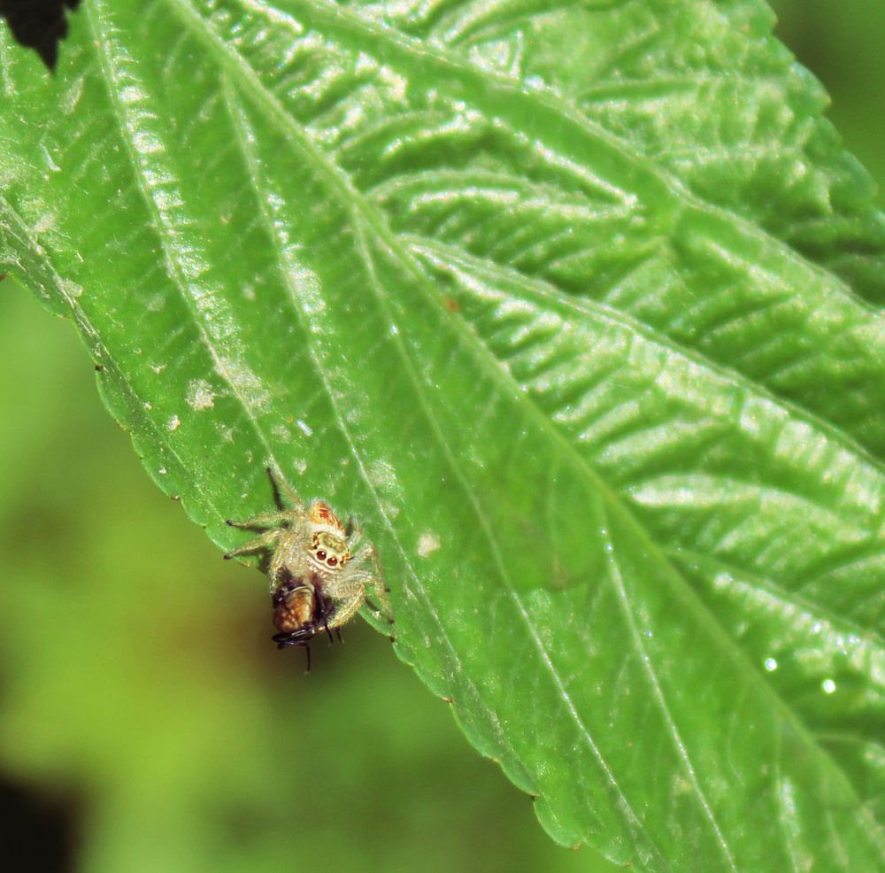 Photograph by Narjes Al_Bayat (Narjes Alzahraa)