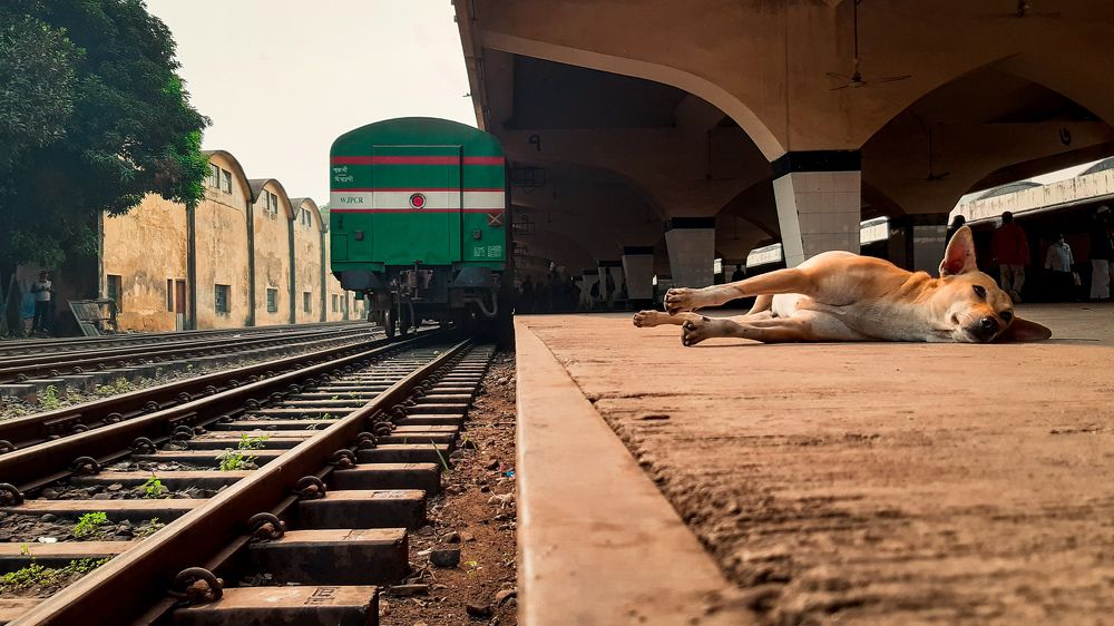 Photograph by Ahmed Jahin Akif