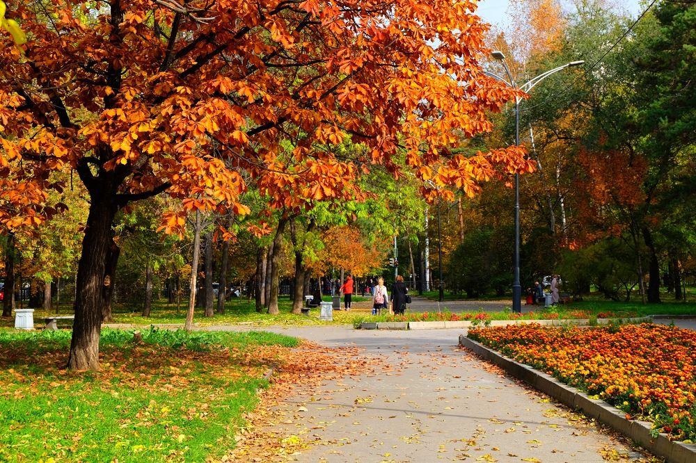 Photograph by Сергей Колесниченко