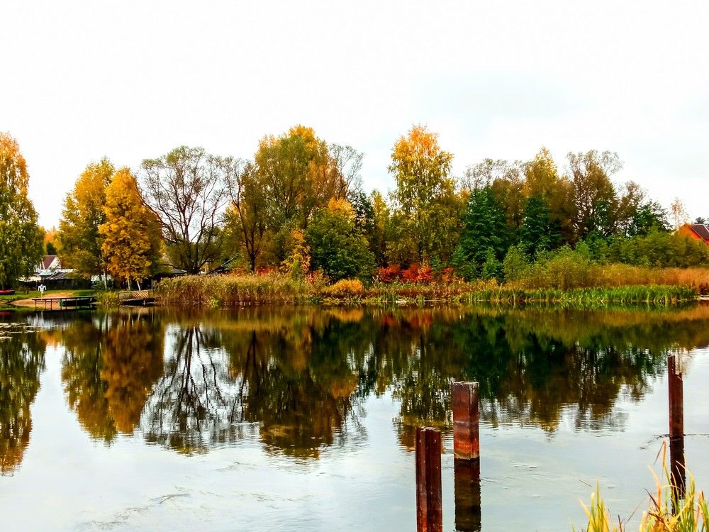 Photograph by Анастасия Клопкова