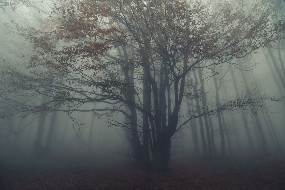 Photograph by Ralitsa Byalkova