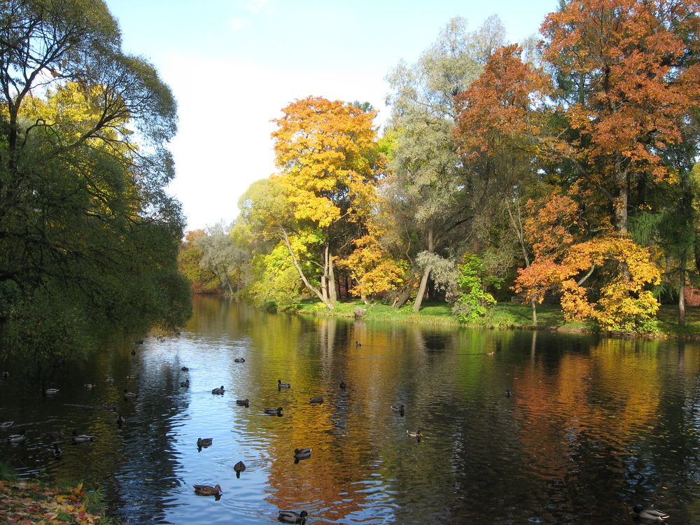 Photograph by Виктор Полуэктов