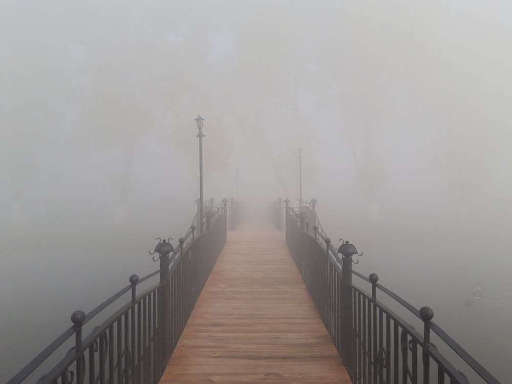 Фотография автора Елена Пикатова