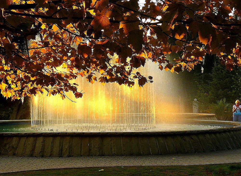 Photograph by Виктор Шандоров