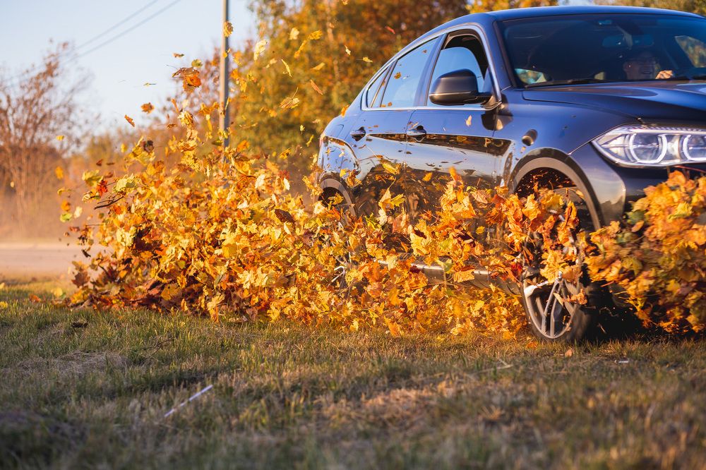 Photograph by Юлия Калугина