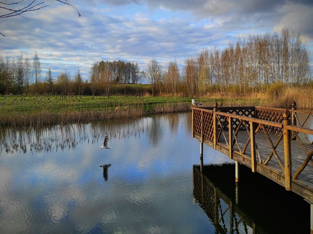 Photograph by Александр Бородин