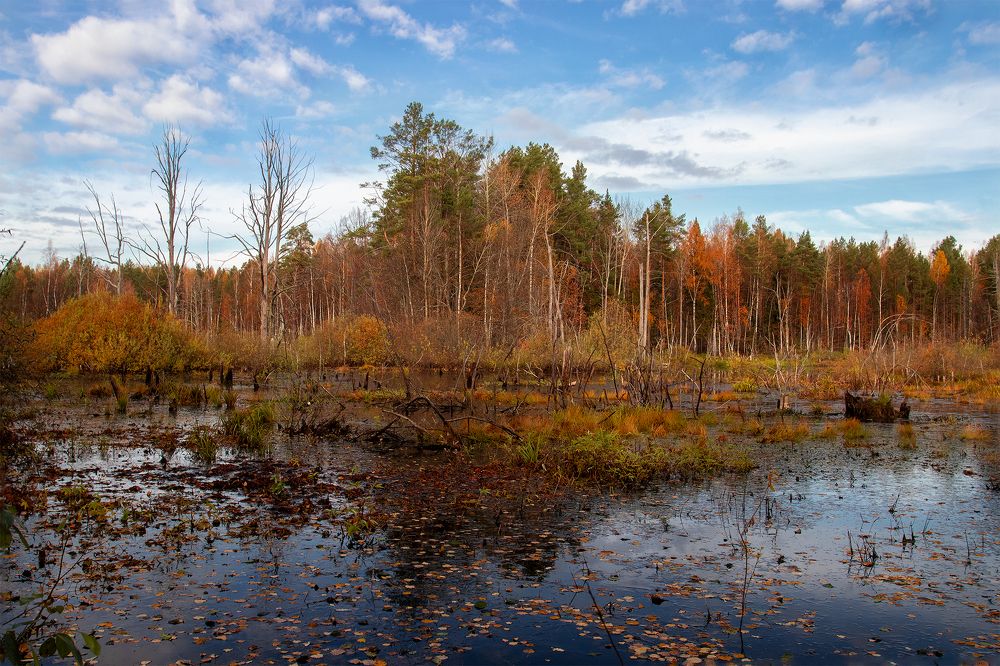 Photograph by Светлана Гущина