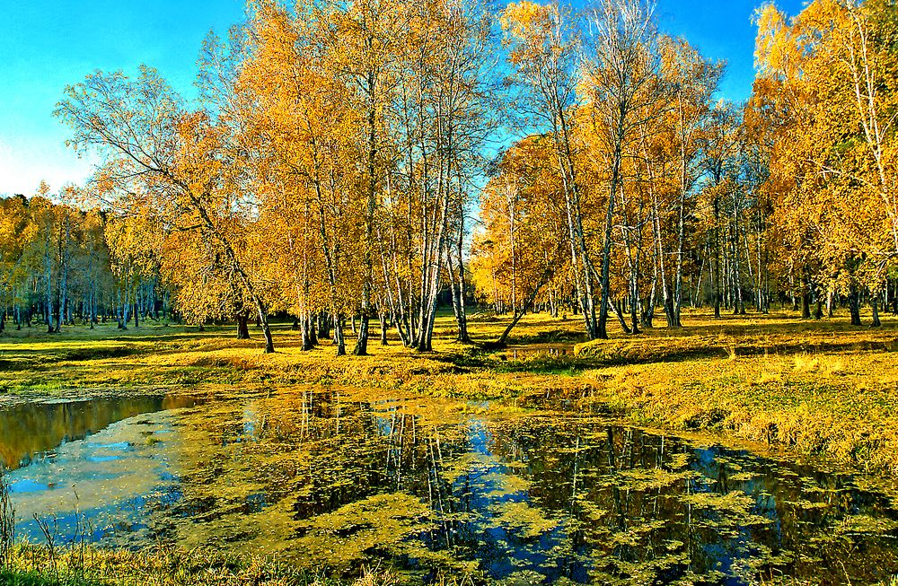 Озеро Лесное