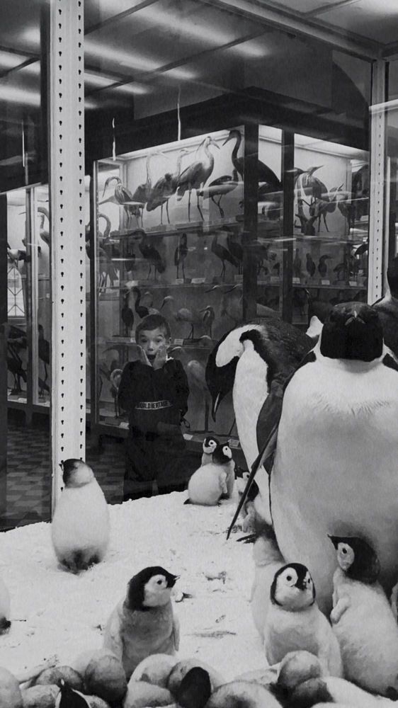 Photograph by Анастасия Злотина