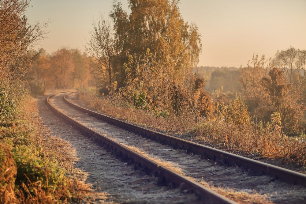 Photograph by TATIANA SHKUNDINA