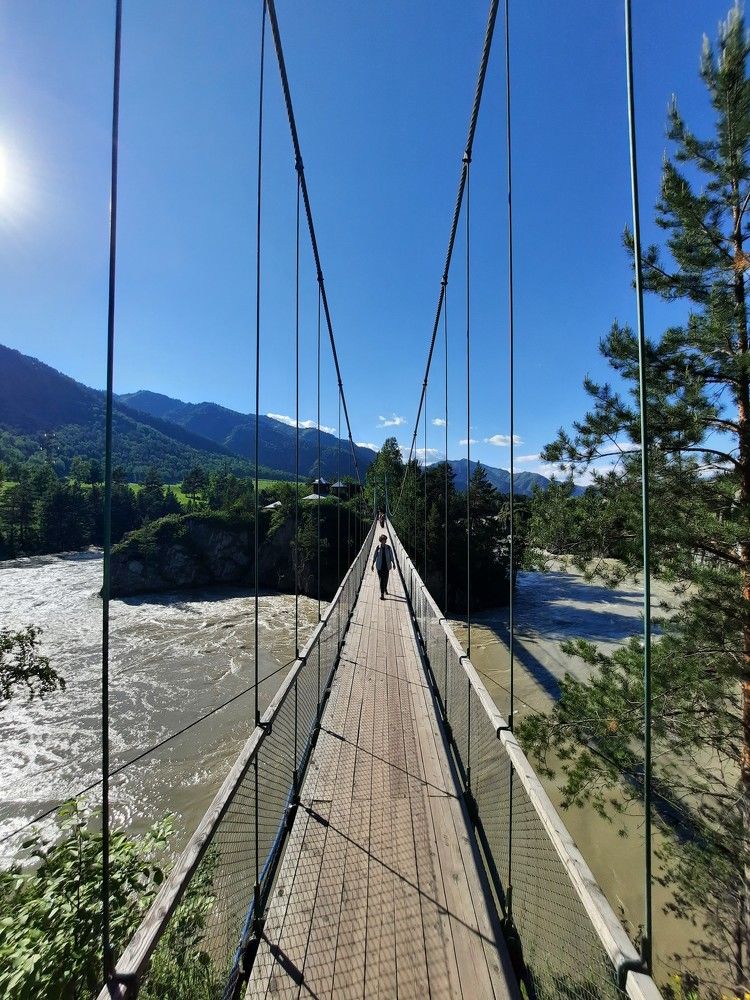 Фотография автора Елена Пикатова