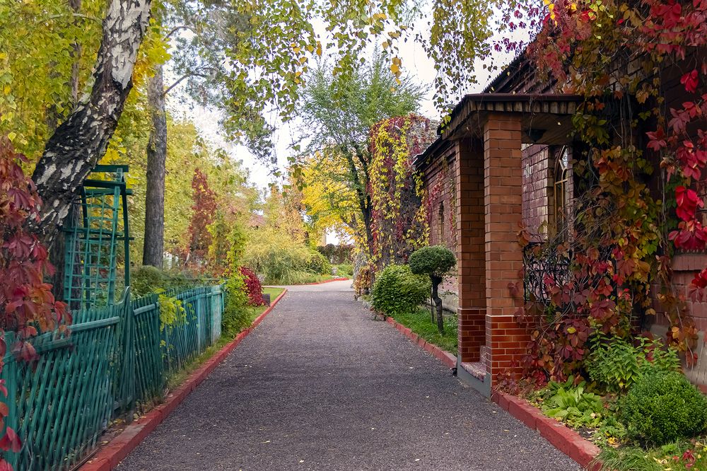 Photograph by Yelena Shander