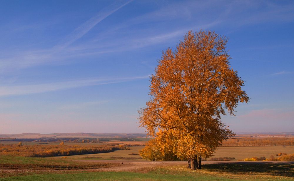 Осенний пейзаж