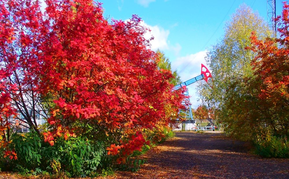 Здесь добывают нефть