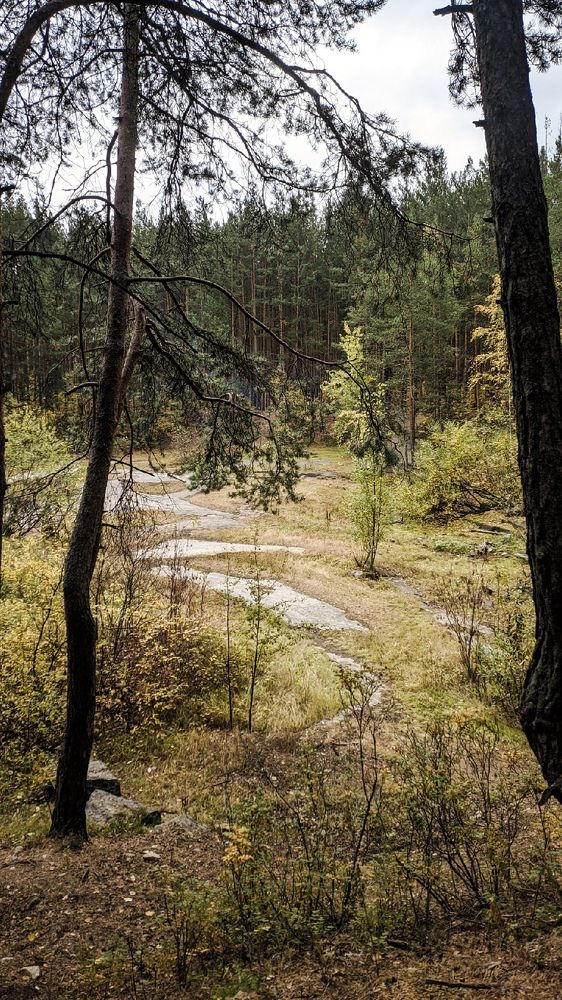 Photograph by Анна Токарева