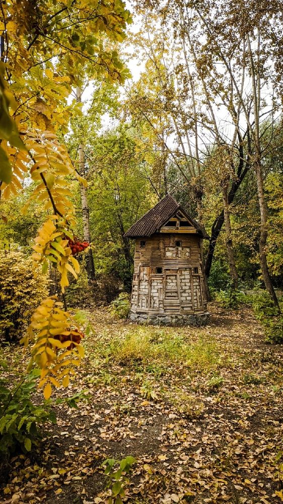 Старая мельница в саду