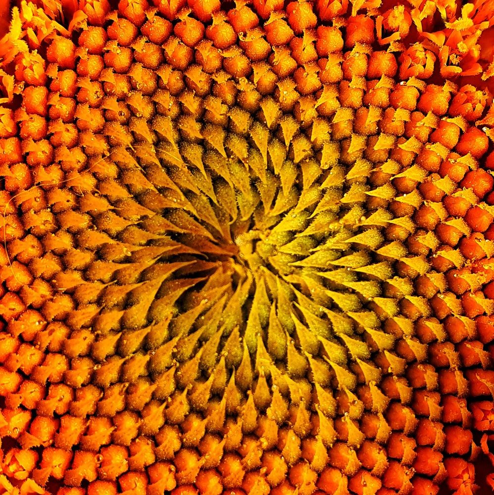 Photograph by Татьяна Мельникова