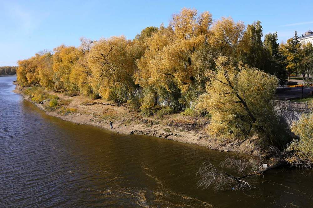 Фотография автора Светлана Дубина
