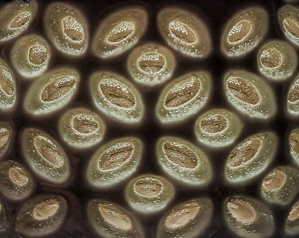 Photograph by Татьяна Мельникова