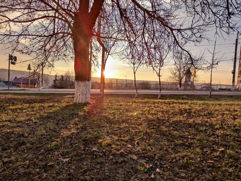 Photo #6581475