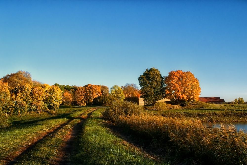 Фотография автора Юлия Кранина