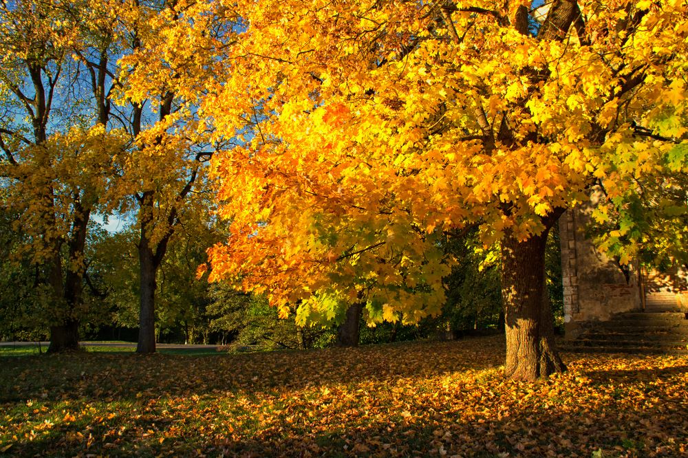 Фотография автора Юлия Кранина