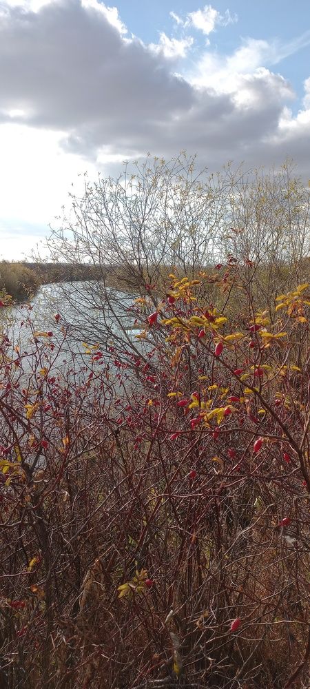 Photograph by Дмитрий Юдин