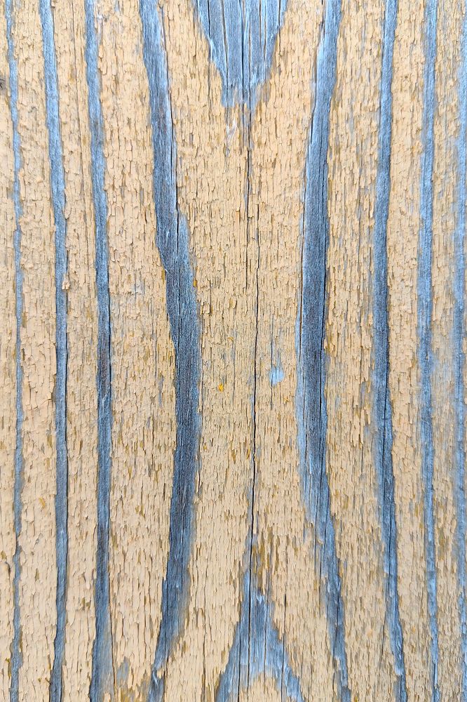 Photograph by Евгений Беленков