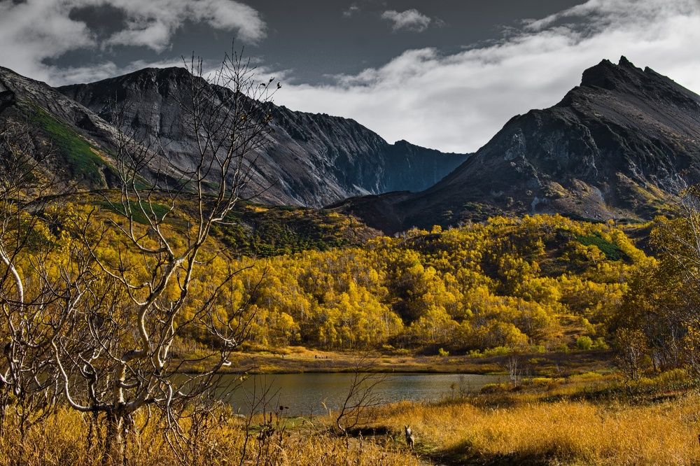 Осенний Вачкажец